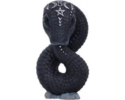Nemesis Now Ouroboros Unisex beeld - zwart - Standard