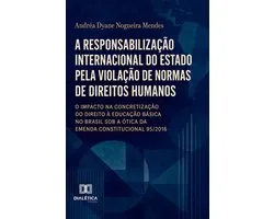 A Responsabilização Internacional Do Estado Pela Violação De Normas De Direitos Humanos