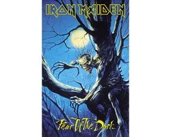 Iron Maiden Textile Poster Drapeau Fear Of The Dark Multicolore
