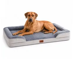 Jake and Jacky Panier pour chien - Coussin orthopédique pour chien - Lit pour chien - Matelas double face - Avec mousse à mémoire de forme - Housse lavable - Taille XXL - 134x108x19cm