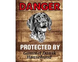Gammel Dansk Hønsehund 19