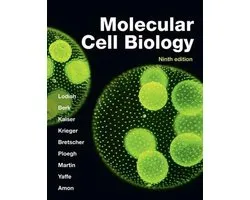 Molecular Cell Biology