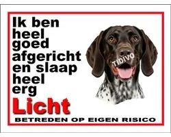 Gammel Dansk Hønsehund 4
