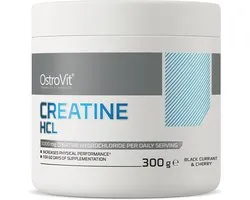 Créatine HCL 300g OstroVit + Pilulier GRATUIT + Shaker Bulk GRATUIT 700ml
