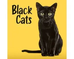 Black Cats - Schwarze Katzen 2027 - Wand-Kalender