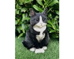 Britse Korthaar 30 cm - Kat zittend groot zwart en wit – kitten - poes - polyester - polystone - beeld - tuinbeeld - hoogkwalitatieve kunststof - decoratiefiguur - interieur - accessoire - voor binnen - voor buiten - cadeau - geschenk