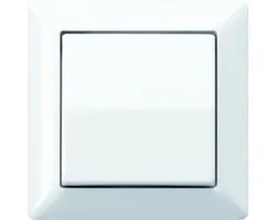 Jung AS500 Schakelelement/Centrale Plaat - AS590WW - E32PZ