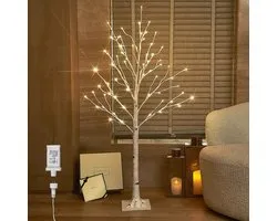 Hairui Pre Lit White Birch Tree 4FT 72LED (Partial Twinkle) for Christmas Holiday Party Decorations Plug in Indoor Outdoor Use