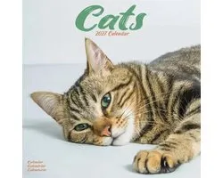 Katten Kalender 2027