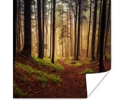 Affiche Arbres - Nature - Forêt - 50x50 cm