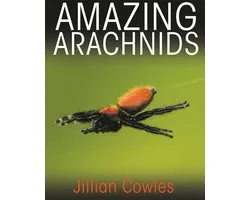 Amazing Arachnids