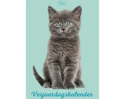 Verjaardagskalender Katten - Exclusieve Katten Illustraties - Kalender - Wandkalender - Maandkalender - Planner - Verjaardag - A4 Formaat - Jaarplanner - Zonder Jaartal - Verjaardagskalenders - Jaarkalender - Cats - Fantasy - Cat - Calendar - Kat