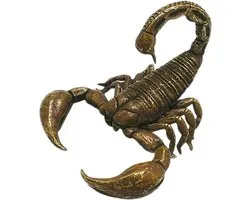 Feng shui en laiton scorpion mini figurine de scorpion petites statues d'animaux richesse prospérité sculpture objets de collection cadeau souvenir pour la décoration de bureau à domicile