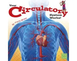 Your Body Systems - Your Circulatory System Works!
