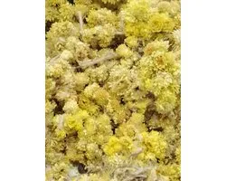 Strobloem (Helichrysum arenarium)80g