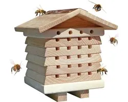 Solitary Beekeeping Essentials