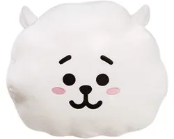 Kussen en Peluche de Caractère BT21, Parfait pour Dormir et la Décoration