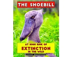 The Shoebill