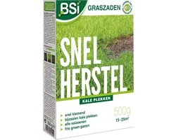 Bsi Grass Seed Fast Recovery 500 G Légume Marron