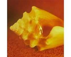 Allah-Las - Sirenas (LP)
