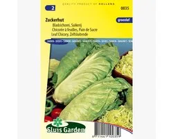 Sluis Garden - Chicorée feuille / Chicorée verte Zuckerhut Fermeture automatique