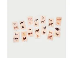 TickiT FAMILY MATCH POUR LES ANIMAUX DE COMPAGNIE