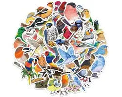 Meer Leuks - Vogel Stickers - 50 stuks - Bird Sticker