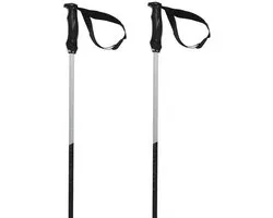 Volkl Phantastick Iii Stokken Zilver 110 cm