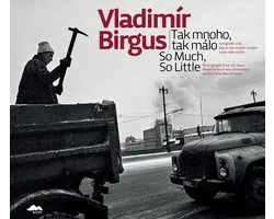 Vladimír Birgus: So Much, So Little