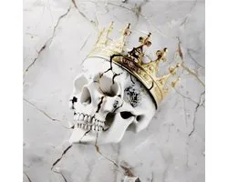 Jelly Roll - Beautifully Broken (LP)