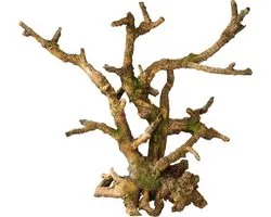 BONSAI SANS FEUILLES 25,5x10x24CM brun