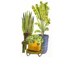 COPIC Ciao stiftenset Botanic met markerblok - 3 stuks