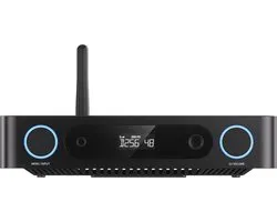 FIIO K13 R2R Zwart