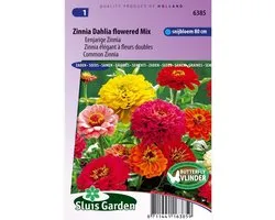 Lock Garden - Mélange de fleurs et de dahlias de Zinnia