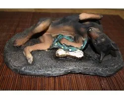 Dobermann