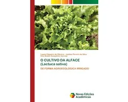 O CULTIVO DA ALFACE (Lactuca sativa)