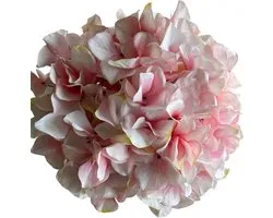 bloemen Hortensia light pink