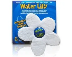 Water lily