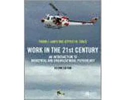 Work in the 21st Century