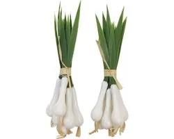 Dummy bosuitjes