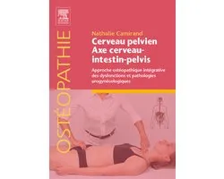Cerveau pelvien - axe cerveau-intestin-pelvis