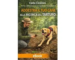 addestra il tuo cane alla ricerca del tartufo