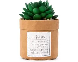 DEMDACO Green Succulent Plant Kindness Grateful 3 x 5 Acrylic Tabletop Artificial Flower Arrangement