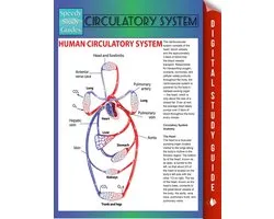 Circulatory System (Speedy Study Guides)