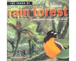Sound Of Rain Forest