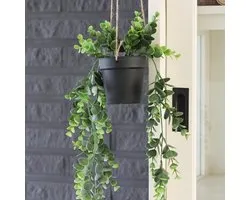 Panier Suspendu - Pot Suspendu Senecio - Plante Suspendue en Pot - Sur Corde 65cm - Plante Plastique en Pot - Suspension Plante