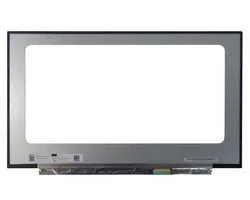 LCD Scherm geschikt voor Acer Predator Helios 300 PH317-53-72S1 (144Hz)