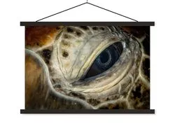 Close-up Hawksbill Turtle Eye affiche textielposter lattes noires 150x100 cm - Tirage photo sur plaque scolaire (décoration murale salon / chambre)