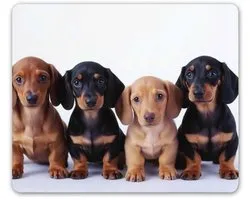 Lieve Teckelpuppy-muismat - Antislip Bureauaccessoire