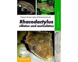 Rhacodactylus ciliatus und auriculatus